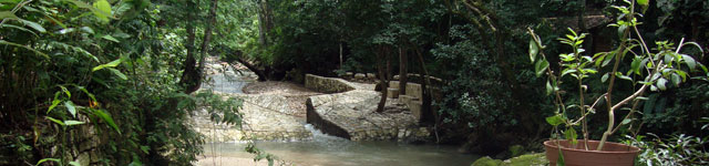 Central Florida Honduras Commission Rotating Header Image