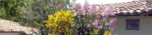 Central Florida Honduras Commission Rotating Header Image